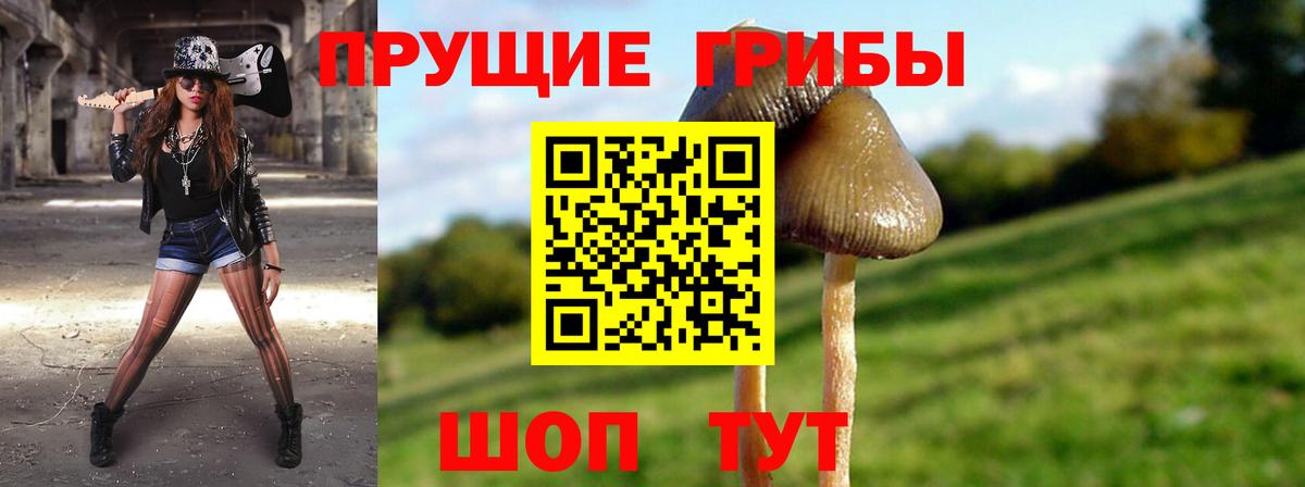 Россия  Псилоцибиновые грибы Psilocybine cubensis  Вход с VPN 
