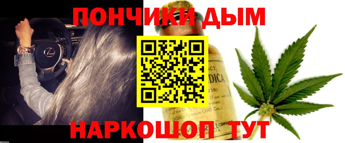 Россия  Канабис планчик  Канабис семена  Вход с VPN  Марихуана THC 21% 
